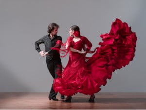 Flamenco La Zenia