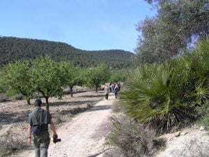 Vega Baja Walk
